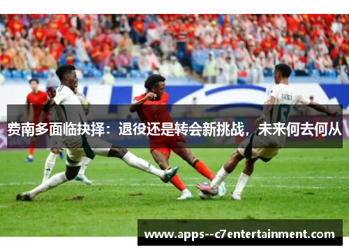 费南多面临抉择：退役还是转会新挑战，未来何去何从