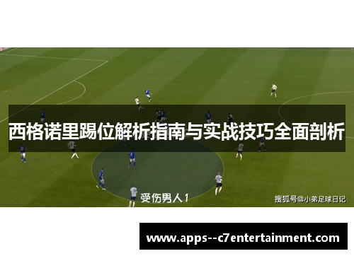 西格诺里踢位解析指南与实战技巧全面剖析