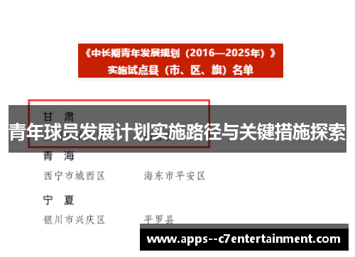 青年球员发展计划实施路径与关键措施探索